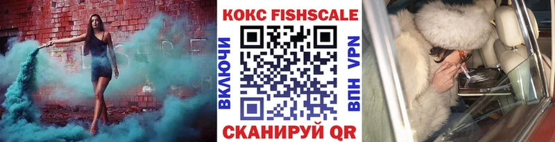купить наркотик  Железногорск-Илимский  Cocaine Fish Scale 
