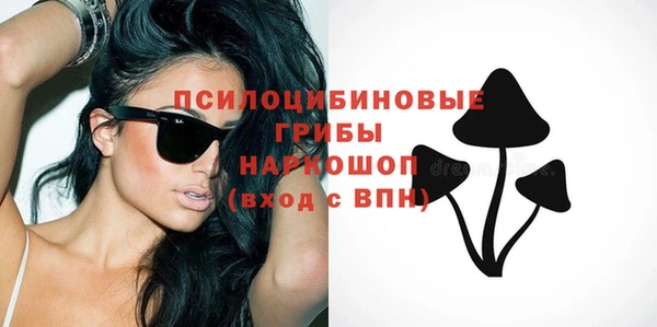 сатива Аркадак