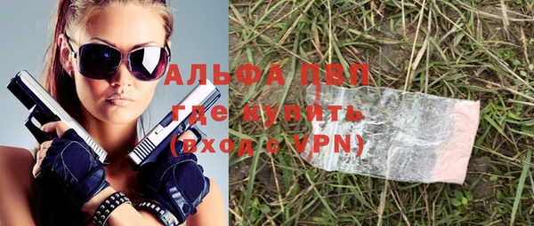 сатива Аркадак