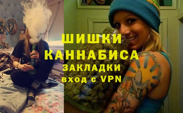 сатива Аркадак