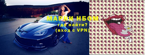 сатива Аркадак