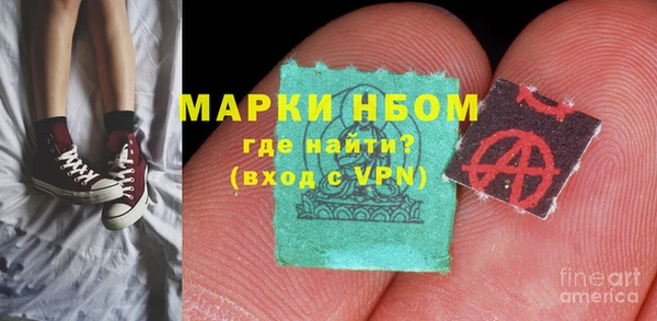 сатива Аркадак