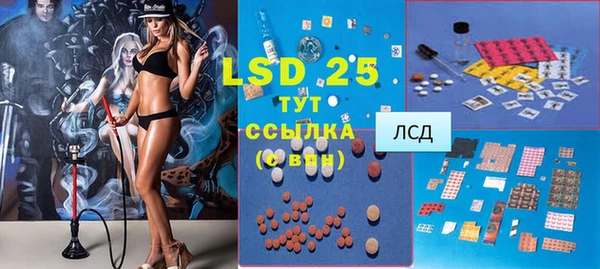 сатива Аркадак