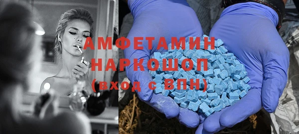 сатива Аркадак